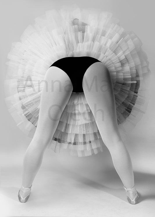 Ballerina - High Quality Matt Print