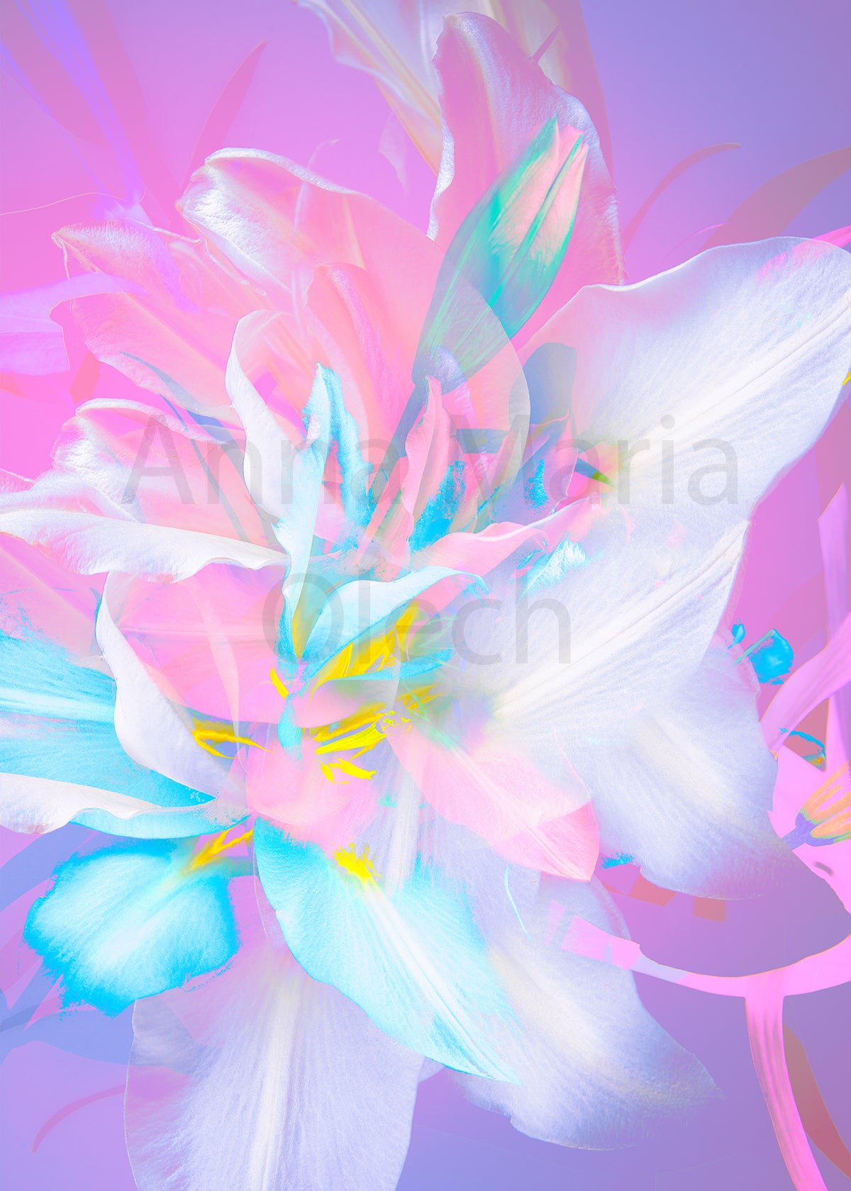 Lilies #3 - High Quality Matt Print