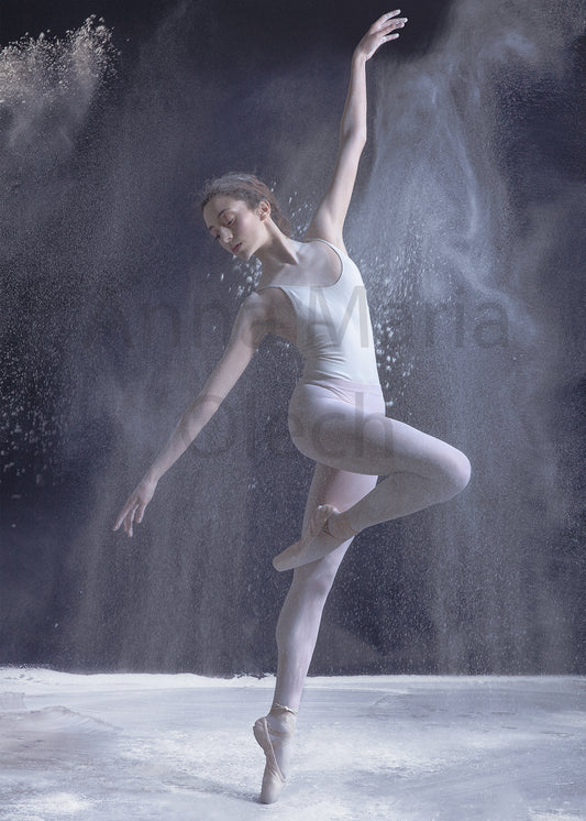 Porcelain Dancer - High Quality Matt Print