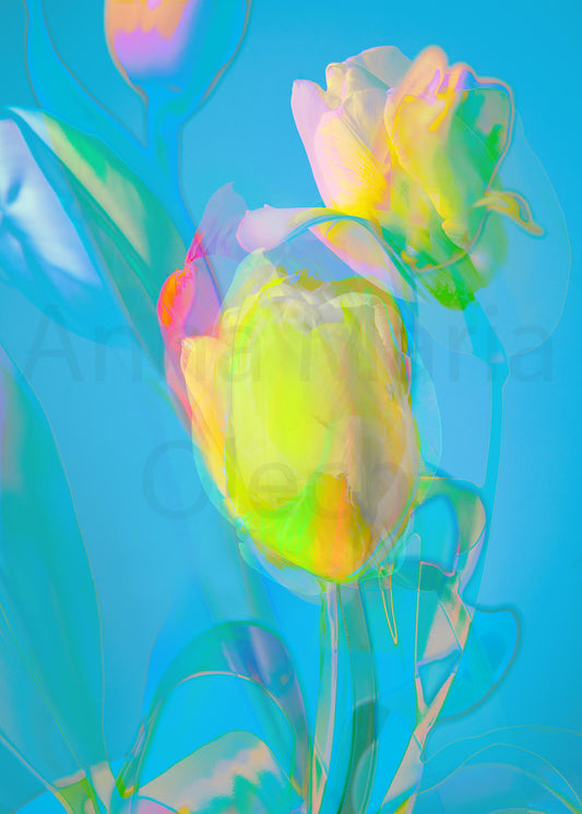 Yellow Tulip - High Quality Matt Print